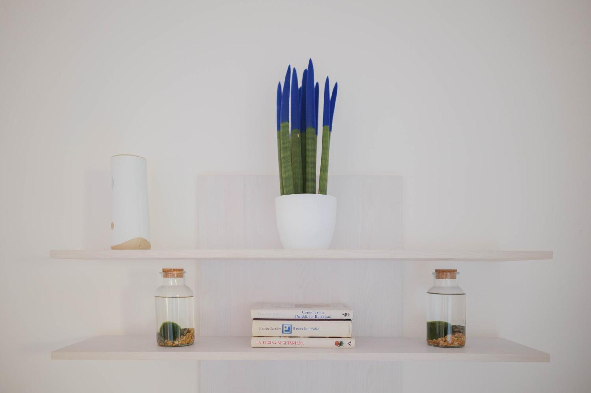 Casa Ghandi Vicino A Roma Con Box Auto E Wi-Fi モンテロトンド エクステリア 写真